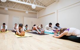 Stages de yoga : une évasion pour le corps et l'esprit !